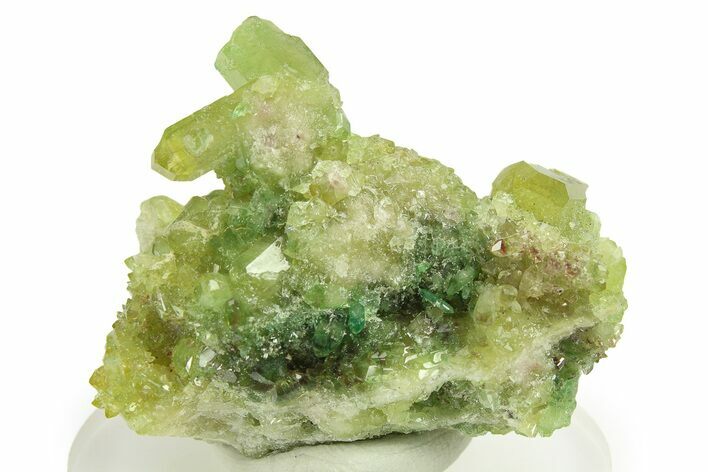Lustrous Vesuvianite Crystal Cluster - Jeffrey Mine, Canada #284509